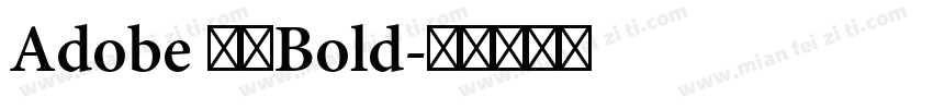 Adobe 宋体Bold字体转换